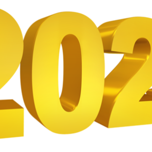 2023 year PNG