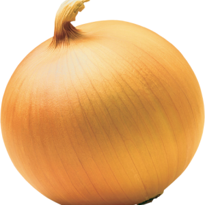 Onion PNG image, free download picture