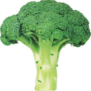 Broccoli PNG