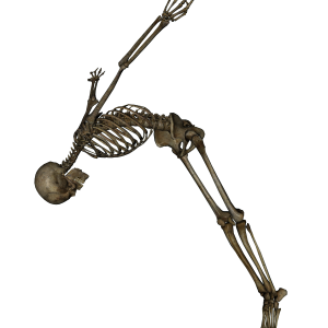 Skeleton PNG