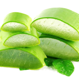Aloe vera PNG