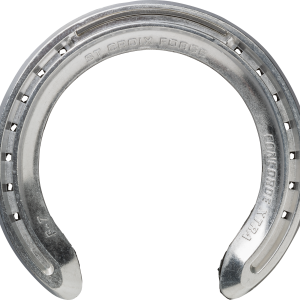 Horseshoe PNG