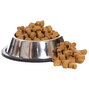 Dog food PNG