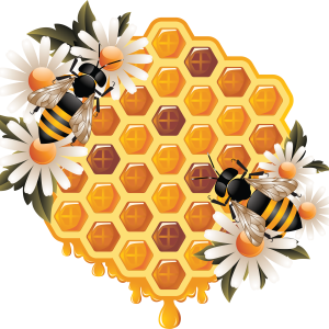 Honey PNG