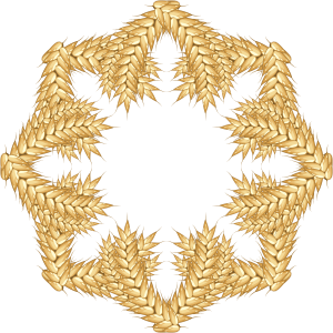 Wheat PNG