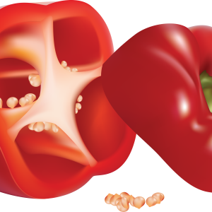 Pepper PNG image