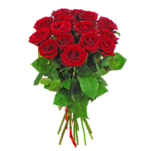 Rose PNG