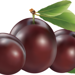 Plum PNG image