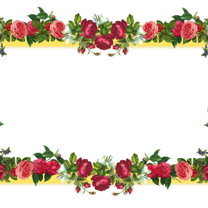 Floral frame PNG