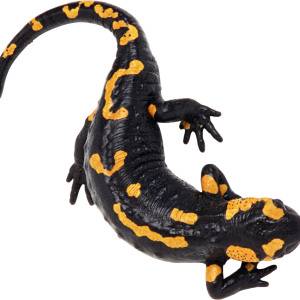 Gecko PNG