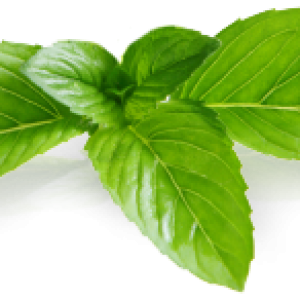 Pepermint PNG