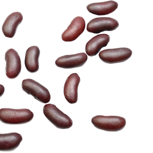 Kidney beans PNG