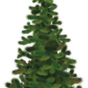 Christmas tree PNG