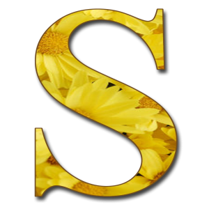 Letter S PNG