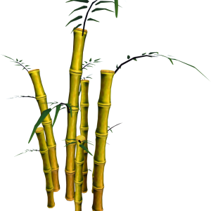 Bamboo PNG