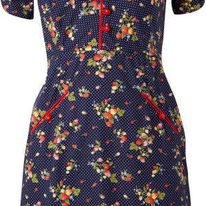 Dress PNG