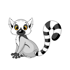 Lemur PNG