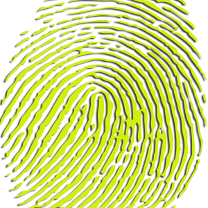 Fingerprint PNG