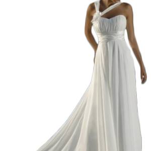Bride PNG