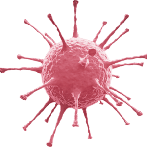 Bacteria PNG