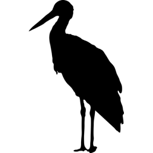 Stork PNG