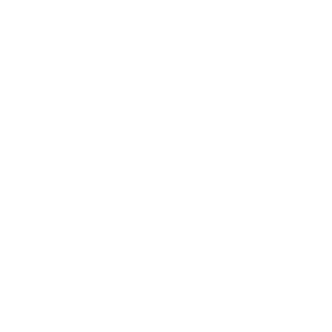 Skype white logo PNG