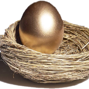Nest PNG