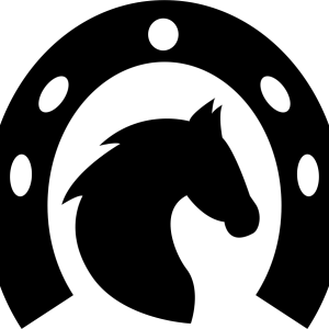 Horseshoe PNG