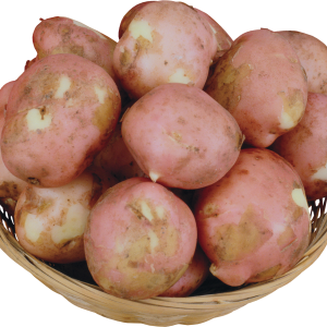 Potatoes PNG image in plate