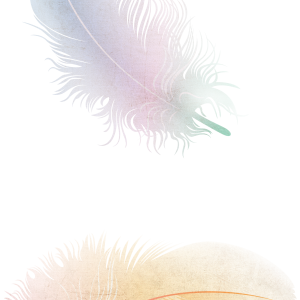 Feather PNG