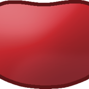 Kidney beans PNG