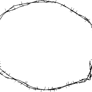 Barbed wire PNG