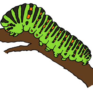 Caterpillar PNG