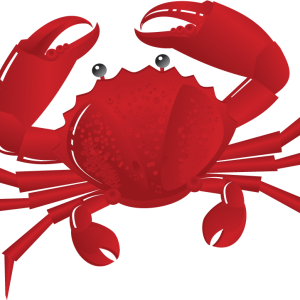 Crab PNG