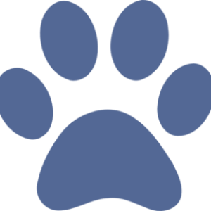 Paw PNG