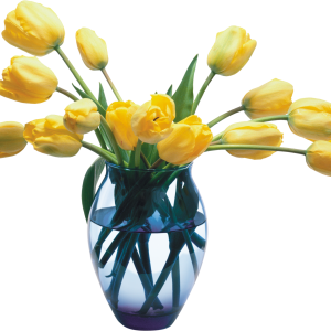 Vase PNG