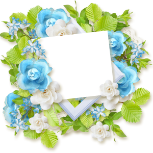Floral frame PNG