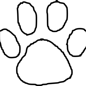 Paw PNG