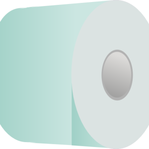 Toilet paper PNG