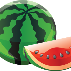 watermelon PNG image