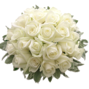 Wedding PNG