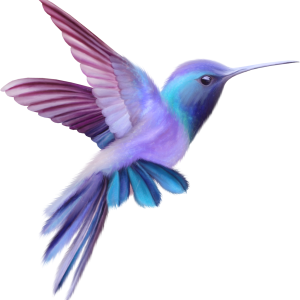 Hummingbird PNG