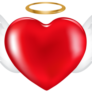 Heart PNG