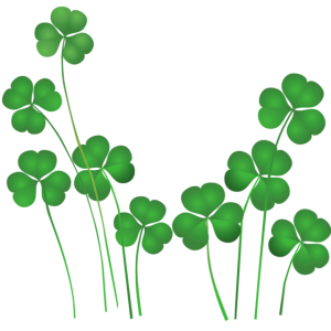 Shamrock PNG