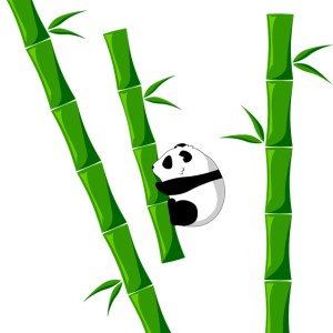 Bamboo PNG