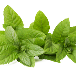 Pepermint PNG