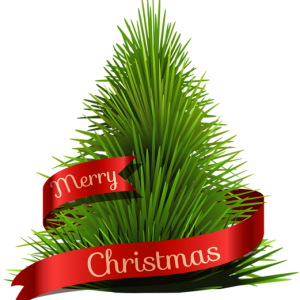 Christmas tree PNG