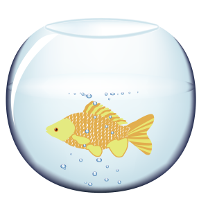 Aquarium PNG