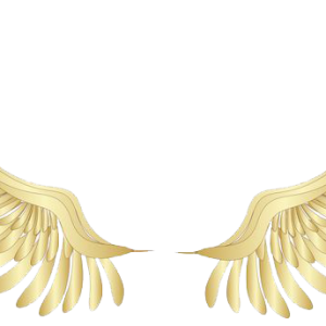 Wings PNG
