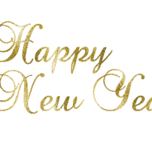 New Year PNG